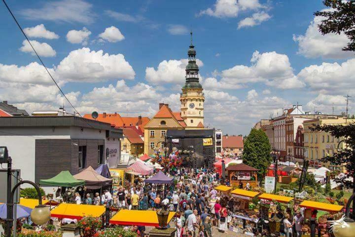 Der Kleine Bauernhof Keine Arbeiter Zadnych Pracownikow Kwatera prywatna